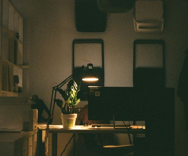 Cozy and ergonomic home office setup with good lighting and plants.