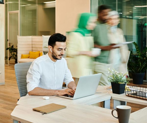 Person working comfortably at a well-lit desk with a plant.